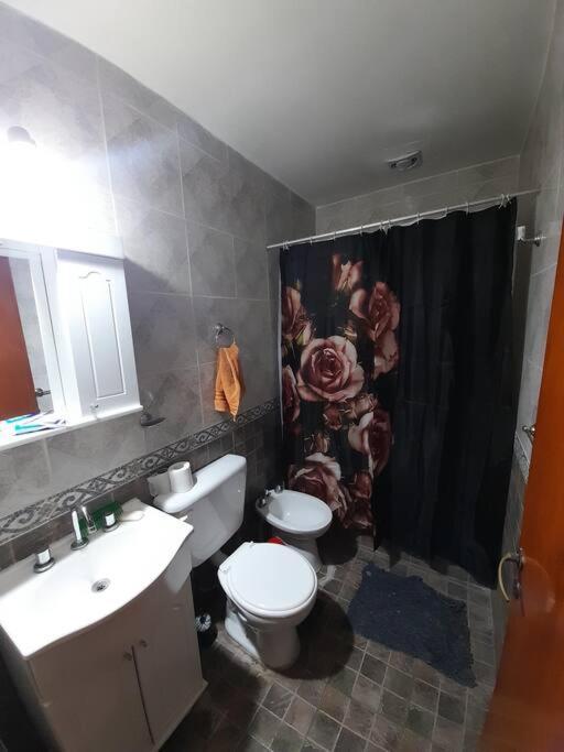 Casa Amplia Y Comoda Holiday home General Alvear (Mendoza)